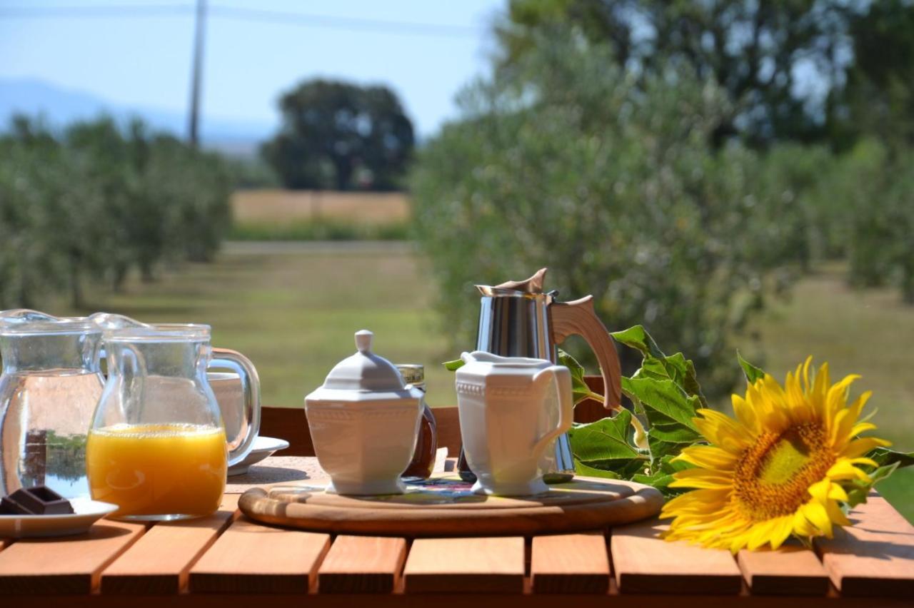 Agriturismo Il Vecchio Mandorlo Castiglione della Pescaia Εξωτερικό φωτογραφία